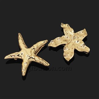 ヒトデはメタルバックルを打ちました